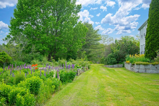 511 Main Rd, Phippsburg, ME 04562 - view of green lawn featuring a vegetable garden