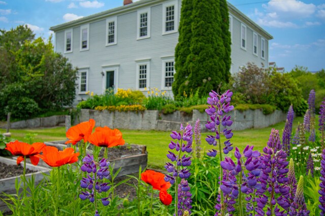 511 Main Rd, Phippsburg, ME 04562 - view of green lawn