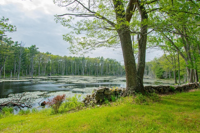 511 Main Rd, Phippsburg, ME 04562 - water view with a forest