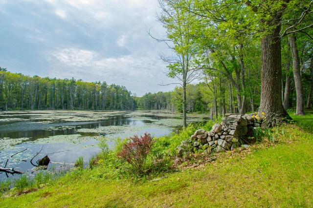 511 Main Rd, Phippsburg, ME 04562 - water view with a forest