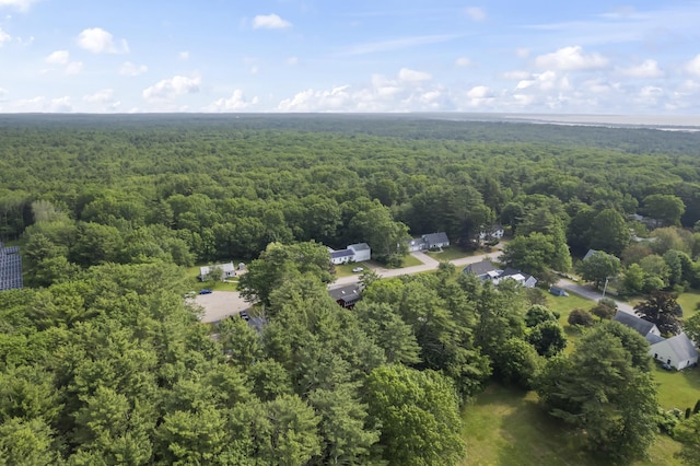 94 Pine Ledge Dr, Wells, ME 04090 - photo 58