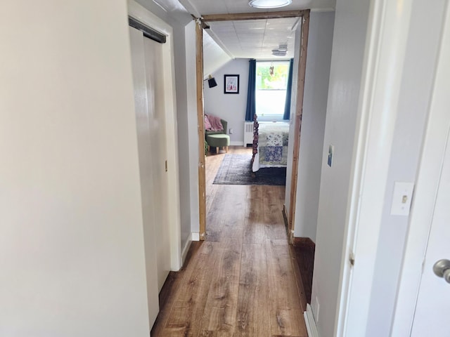 351 Maple St, Bangor, ME 04401 - hallway with wood finished floors and baseboards