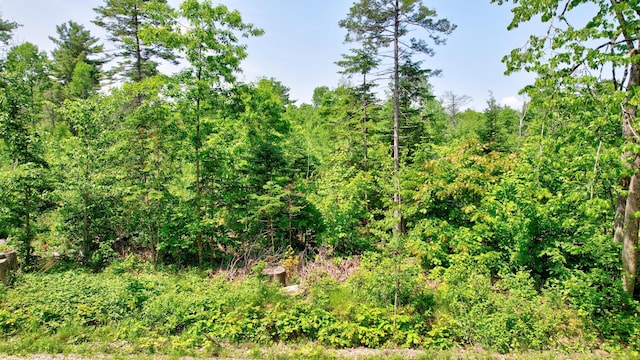 188 Cottrell Rd, Dixmont, ME 04932