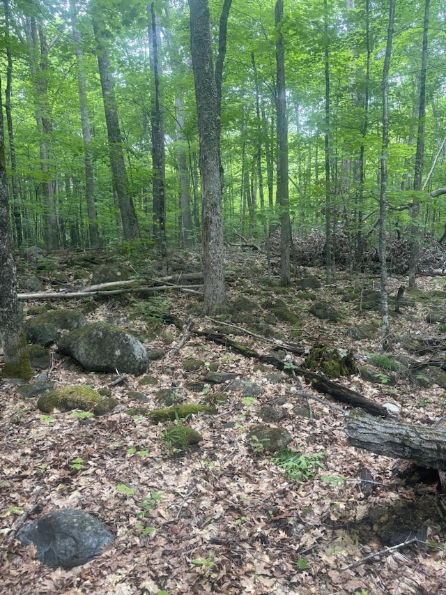 MapR1/066 Stream, Moscow, ME 04920