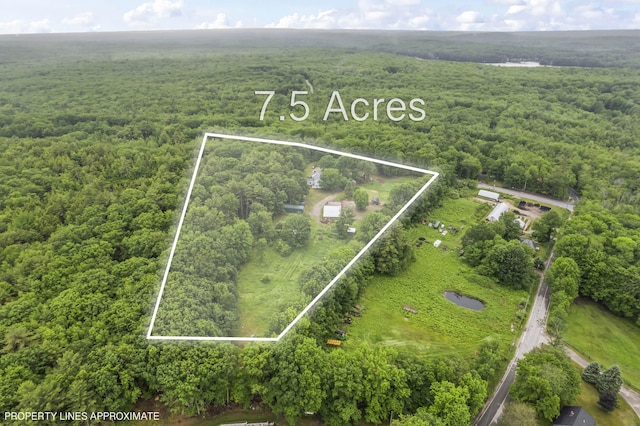 1097 S Waterboro Rd, Lyman, ME 04002 - photo 92