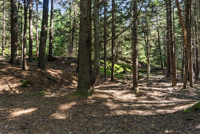 LOT2B Allen Point Rd, Harpswell, ME 04079