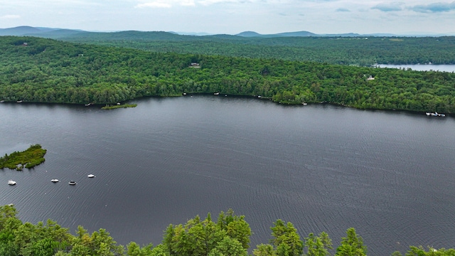 LOTM14 Winterberry Ln, Bridgton, ME 04009 - photo 17