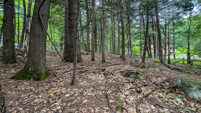 LOTM14 Winterberry Ln, Bridgton, ME 04009 - photo 6