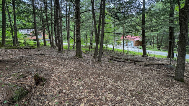 LOTM14 Winterberry Ln, Bridgton, ME 04009 - photo 5