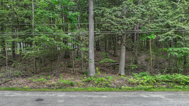 LOTM14 Winterberry Ln, Bridgton, ME 04009 - photo 4