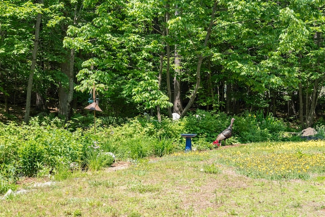 139 Gore Rd, Gray, ME 04039 - photo 6