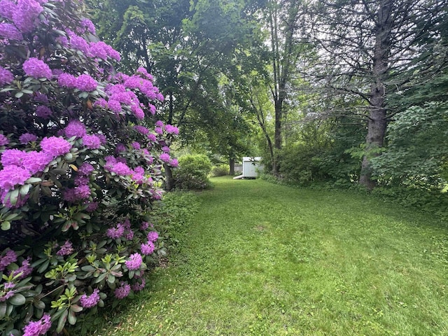 31 Vivian St, Auburn, ME 04210 - view of green lawn