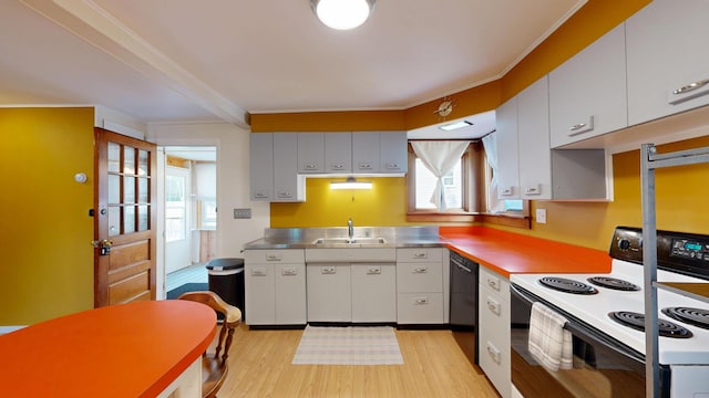 31 Vivian St, Auburn, ME 04210 - kitchen with stainless steel countertops, white electric range, dishwasher, light wood-style flooring, and ornamental molding