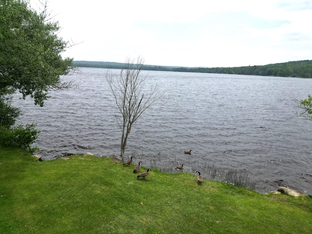 29 Wilson St, Lincoln, ME 04457 - photo 38