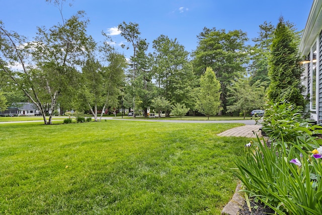 13 Carriage Way, Scarborough, ME 04074 - photo 53
