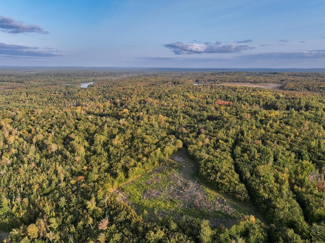 54 Carver Rd, Milo, ME 04463 - drone / aerial view of a forest