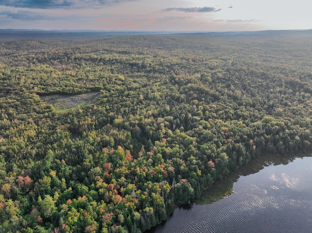 54 Carver Rd, Milo, ME 04463 - aerial view of a forest and a large body of water