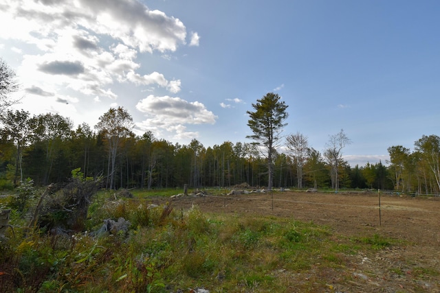 54 Carver Rd, Milo, ME 04463 - view of tree filled area