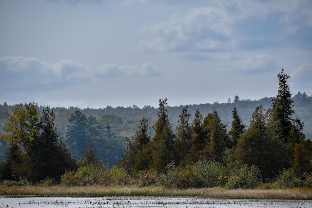 54 Carver Rd, Milo, ME 04463 - view of mountain backdrop featuring a forest