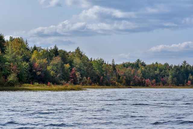54 Carver Rd, Milo, ME 04463 - water view with a heavily wooded area