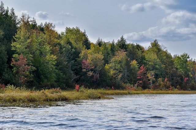 54 Carver Rd, Milo, ME 04463 - water view with a heavily wooded area