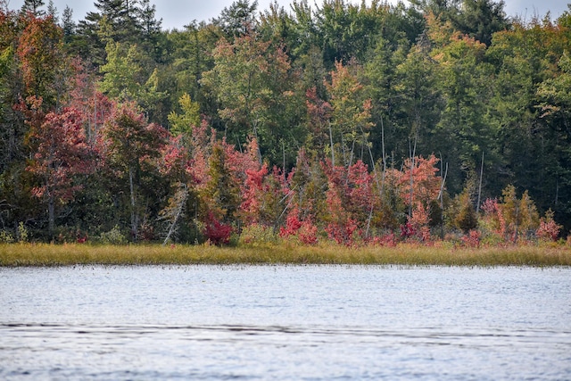 54 Carver Rd, Milo, ME 04463 - water view with a forest