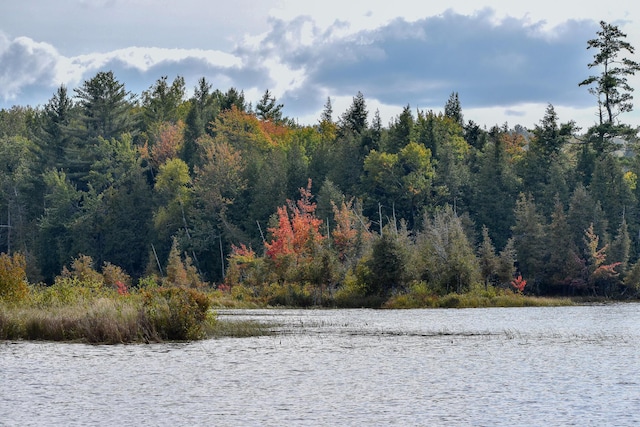 54 Carver Rd, Milo, ME 04463 - water view featuring a heavily wooded area