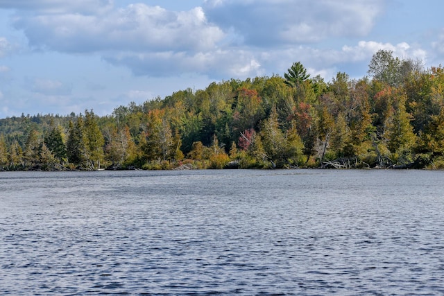 54 Carver Rd, Milo, ME 04463 - water view with a forest