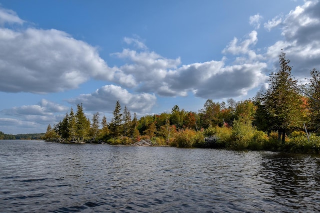 54 Carver Rd, Milo, ME 04463 - water view with a forest