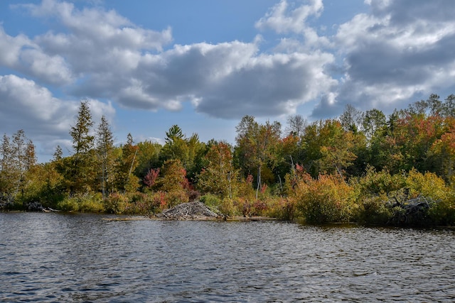 54 Carver Rd, Milo, ME 04463 - water view featuring a heavily wooded area