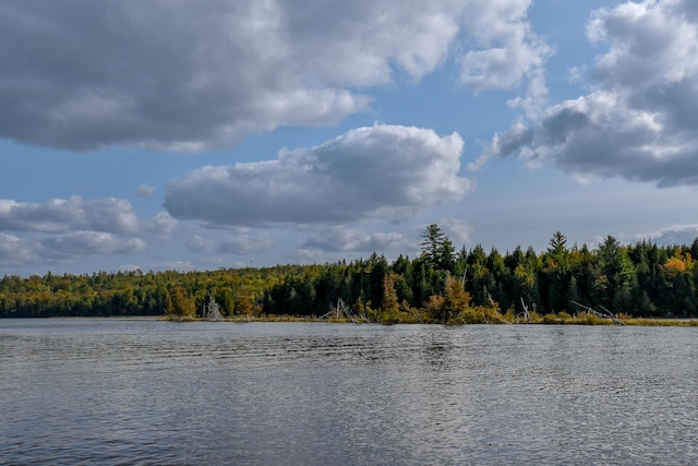 54 Carver Rd, Milo, ME 04463 - water view featuring a forest