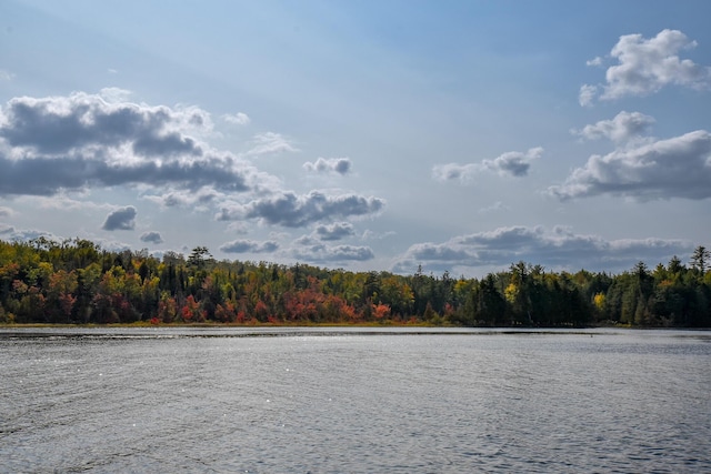 54 Carver Rd, Milo, ME 04463 - water view with a heavily wooded area