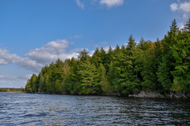 54 Carver Rd, Milo, ME 04463 - water view with a forest