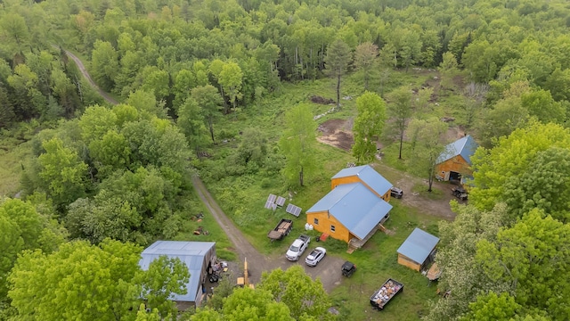 54 Carver Rd, Milo, ME 04463 - drone / aerial view of a forest