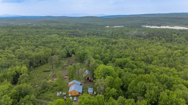 54 Carver Rd, Milo, ME 04463 - drone / aerial view of a forest and mountains