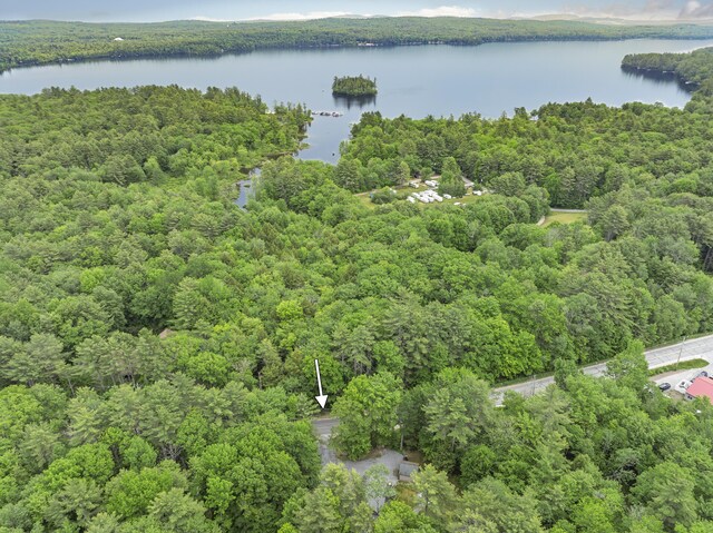 32 Kansas Rd, Naples, ME 04055 - photo 60