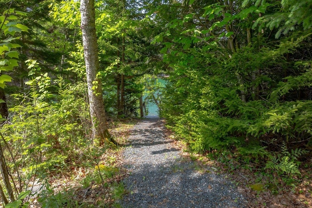 47 Eaton Point Rd, Deer Isle, ME 04627 - view of street