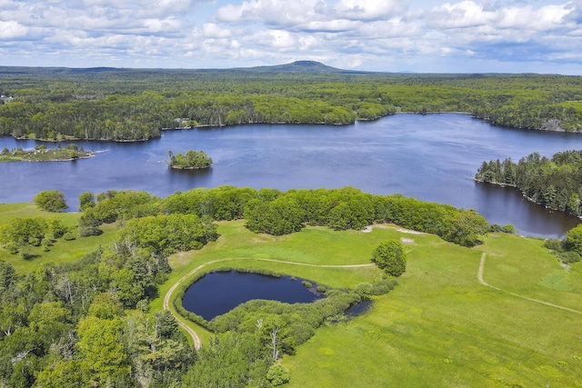 565 Bagaduce Rd, Brooksville, ME 04617 - aerial view of a forest and a large body of water