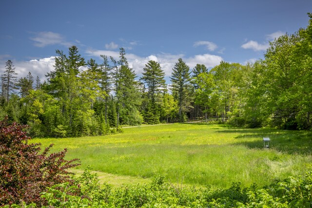 565 Bagaduce Rd, Brooksville, ME 04617 - view of yard featuring a forest view