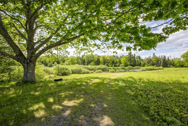 565 Bagaduce Rd, Brooksville, ME 04617 - view of yard with a water view