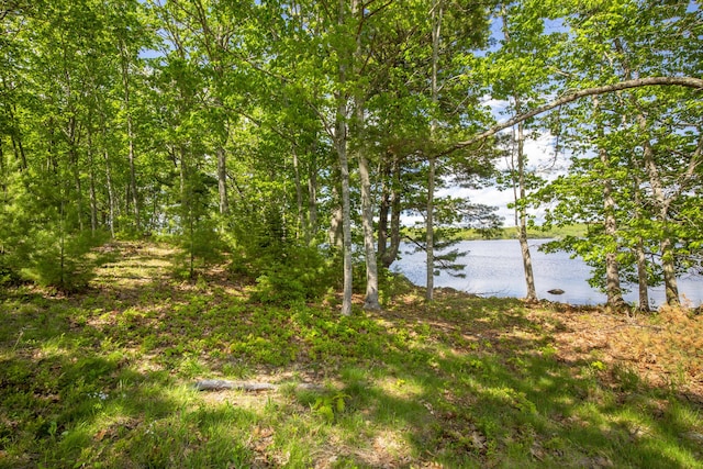 565 Bagaduce Rd, Brooksville, ME 04617 - water view