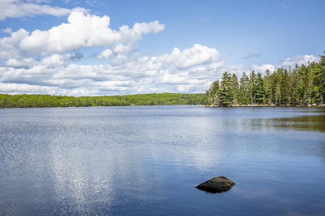 565 Bagaduce Rd, Brooksville, ME 04617 - water view featuring a forest
