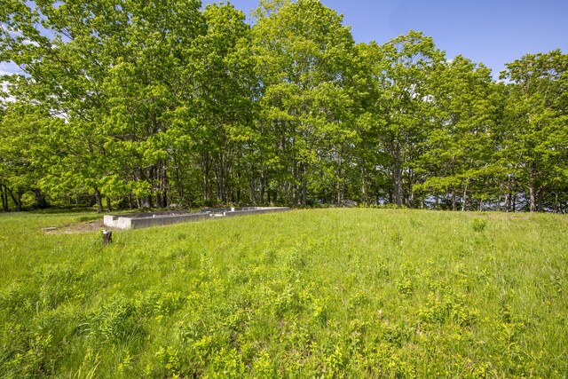 565 Bagaduce Rd, Brooksville, ME 04617 - view of yard featuring a view of trees