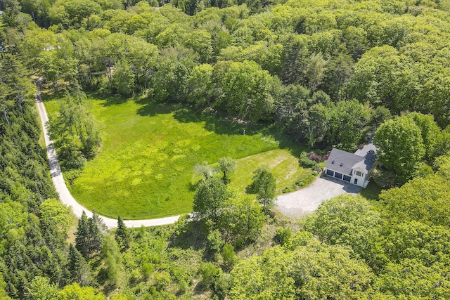 565 Bagaduce Rd, Brooksville, ME 04617 - view from above of property with a heavily wooded area