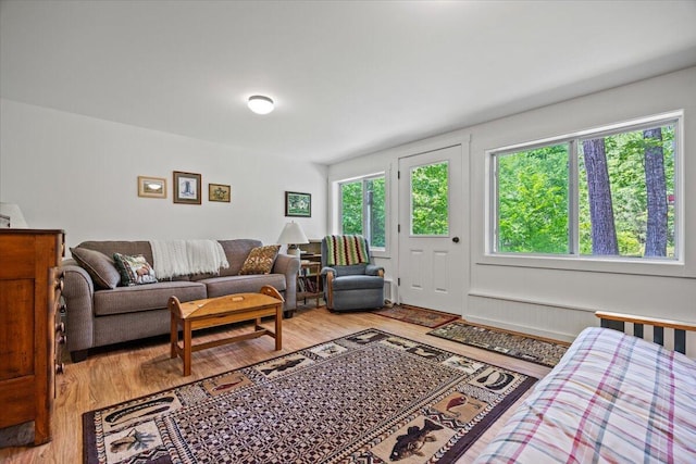 489 Shady Nook Rd, Newfield, ME 04095 - living room with light wood-style flooring