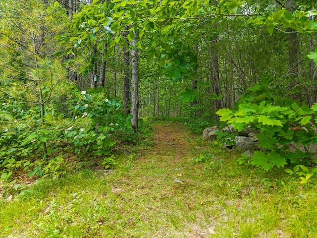 489 Shady Nook Rd, Newfield, ME 04095 - view of local wilderness