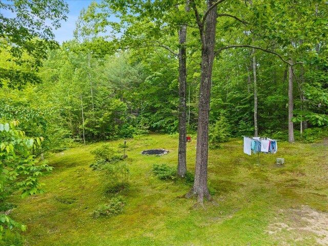 489 Shady Nook Rd, Newfield, ME 04095 - view of yard featuring a view of trees