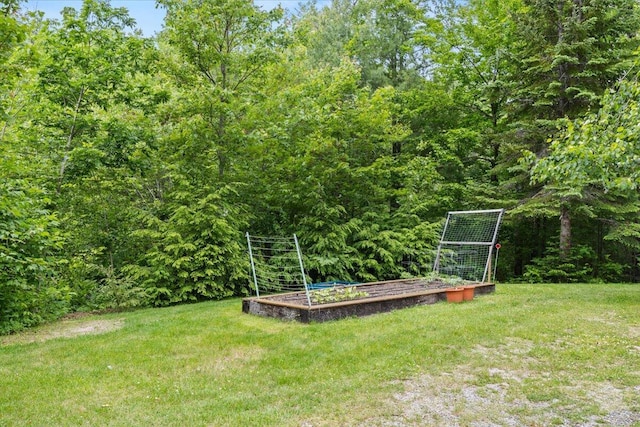489 Shady Nook Rd, Newfield, ME 04095 - view of green lawn featuring a garden