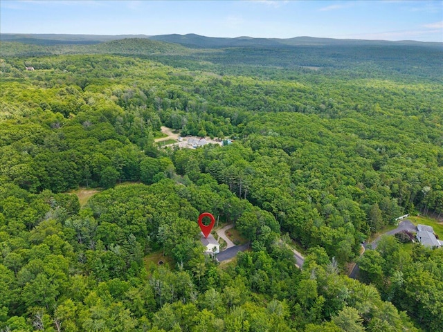 489 Shady Nook Rd, Newfield, ME 04095 - aerial view of property and surrounding area with a forest