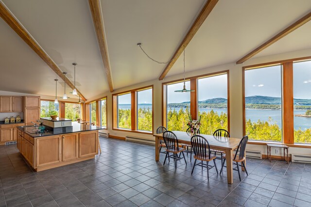 800 Summer Harbor Rd, Winter Harbor, ME 04693 - photo 18